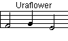 Uraflower